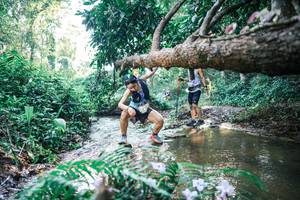 BIB: 
                            <button type="button" onclick="openModal(25437367)" class="btn btn-primary btn-sm float-right btn-popup" data-toggle="modal" data-target=".modal-high-quality">
                        <i class="fas fa-shopping-cart"></i> Add to Cart
                    </button>
                                            <button type="button" onclick="isThisMe(25437367, true)" class="btn btn-success btn-sm float-right btn-popup btn-isme hidden" data-toggle="tooltip" data-placement="bottom" title="นี่คือรูปของคุณใช่ไหม คลิกที่นี่เพื่อเอาเข้าอัลบั้ม">
                        <i class="fas fa-plus"></i> Add to album
                    </button>
                    <button type="button" onclick="isThisMe(25437367, false)" class="btn btn-warning btn-sm float-right btn-popup btn-isnotme hidden">
                        <i class="fas fa-ban"></i> Remove from album
                    </button>